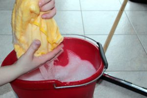 fruehjahrsputz