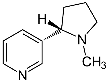 Nikotin_-_Nicotine